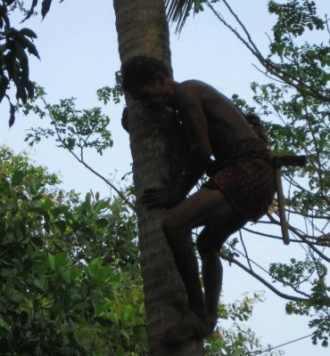 Coconut man