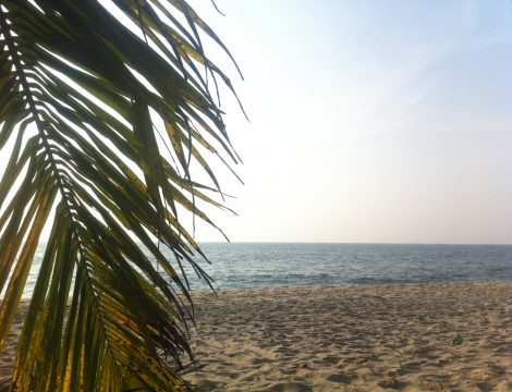 Marari beach