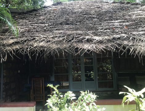 Coconut leaf villa