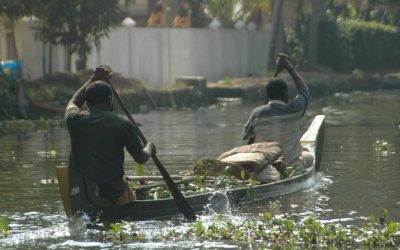 Backwaters